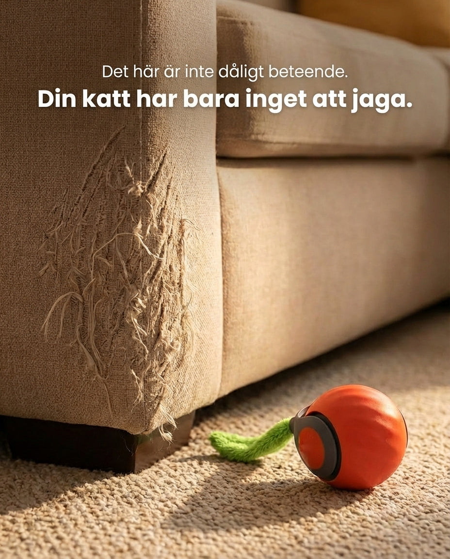 Prowl Ball