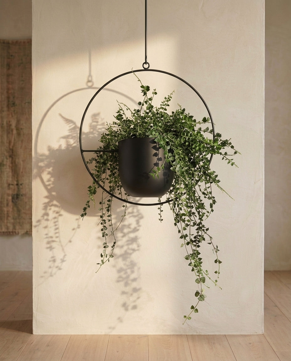 Hängande krukställning inomhus & utomhus | Guldring blomkruka